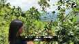 Manipur farmers find sweet success in apples