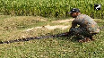 Giant King Cobra Rescued from Odisha's Kaptiipada Forest
