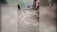 Uttarakhand: Heavy rain lashes Rudraprayag