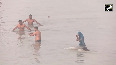 Devotees take holy dip in Ganga in Gangasagar on Makar Sankranti