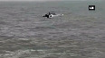  coast guard video