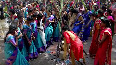 College students in Madurai celebrate Pongal