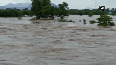 Odisha Parts of Junagarh flooded due to turbulent flow of water in Hati river