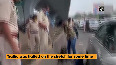 Python on Mumbai highway causes traffic jam, rescued