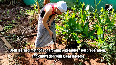 Russian couple lands in Kerala and transforms into full-time farmers