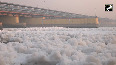 Thick toxic foam floats on Yamuna River in Kalindi Kunj amid high pollution levels