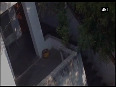 Watch leopard enters residential area, creates panic among residents