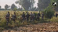 BSF carries out search operation on IB of J-K after inputs of narcotics
