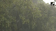 Rain lashes parts of Delhi  IMD predicts light to moderate rainfall with thunderstorms