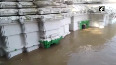 Odisha: Bhattarika Temple submerged in flood water