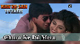  dil video