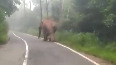 Watch: Wild elephant chases forest vehicle in Nilgiris