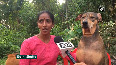 Unsung Hero: Mangaluru woman feeds 800 stray dogs daily