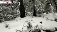 Himachal Pradesh freezes following fresh snow spell