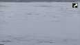 Yamuna river flows near danger mark in Delhi