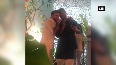 WATCH: Ranveer Singh, Arjun Kapoor sing 'Masakali' at Sonam's wedding