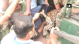 Watch Leopard captured from residential area