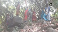 AP: Tribals stage 'mock suicides' over destruction of cashew plantations