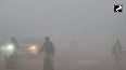 Severe cold and fog increase problems of people in Jind Haryana