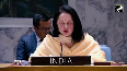 India condemns ballistic missile launches by N Korea at UNSC