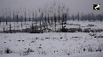 Train rides in snow-clad Kashmir a hit with tourists