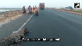Watch: Crocodile spotted on road in Karnataka