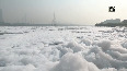 Toxic foam continues to float on Yamuna River in Delhi