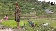 Nepal Celebrates Paddy Day with Mud, Music, and Tradition