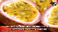 Study Passion fruit peels have potential to preserve fresh fruits