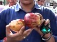 apple india video