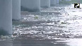 Yamuna river swells and flows above the danger mark in Delhi