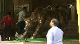 Closing bell Weak global cues drag down equity indices, banking stocks suffer.mp4