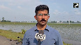 Punjab police deploy drones to deliver relief to flood-hit villages in Amritsar