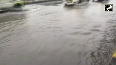 Rain lashes Mumbai, waterlogging in many areas