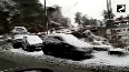 Shimla's Kufri, Mashobra and Jakhu blanketed with snow