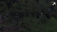 Romeo Force of Indian Army & SOG Police conduct Joint Search Operation in Poonch, J&K