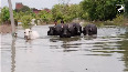 Uttar Pradesh Parts of Kanpur flooded as Ganga river swells after heavy rainfall
