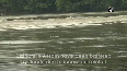 Brahmaputra River flowing 8 cm above danger-mark in Guwahati