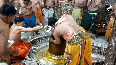 Bhasma Aarti of Baba Mahakaleshwar being performed in Ujjain on the occasion of Dev Prabodhini Ekadashi