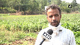 'Jeevika' benefits Udhampur farmers by doubling their income