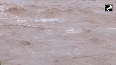 Jammu s Tawi river surges eroding banks adjacent houses under threat