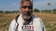 Farmers in Rewari hail agriculture reform bills.mp4
