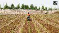 Soil Health Card Scheme Transforming Gujarats Agriculture