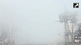 Haryana: Dense fog disrupts Jhajjar city