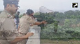 10 killed as bridge collapses in Gujarat's Vadodara