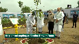 Amit Shah plants saplings in Ahmedabad