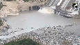 WATCH: India opens gates of Salal dams, causing waters of Chenab to swell
