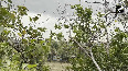 JK Rain lashes in parts of Udhampur, bring respite from heat