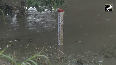 Water level of Yamuna river in Delhi reached below danger mark, threat of flood averted