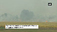 Stubble burning continues in Punjab s Ludhiana